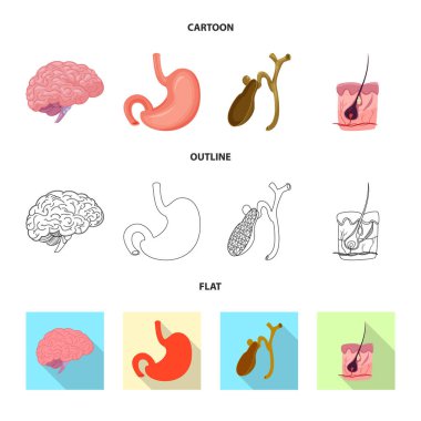 Vücut ve insan simge vektör Illustration. Vücut ve hisse senedi için tıbbi vektör ikon koleksiyonu.