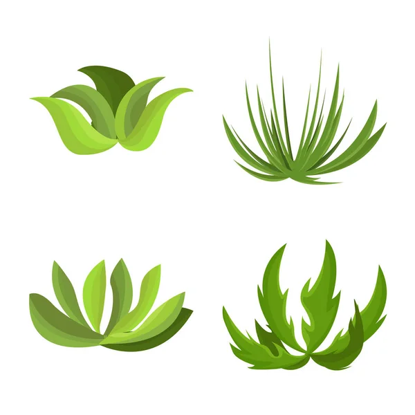 Isolated object of garden and grass icon. Collection of garden and shrub stock vector illustration. — Stock Vector