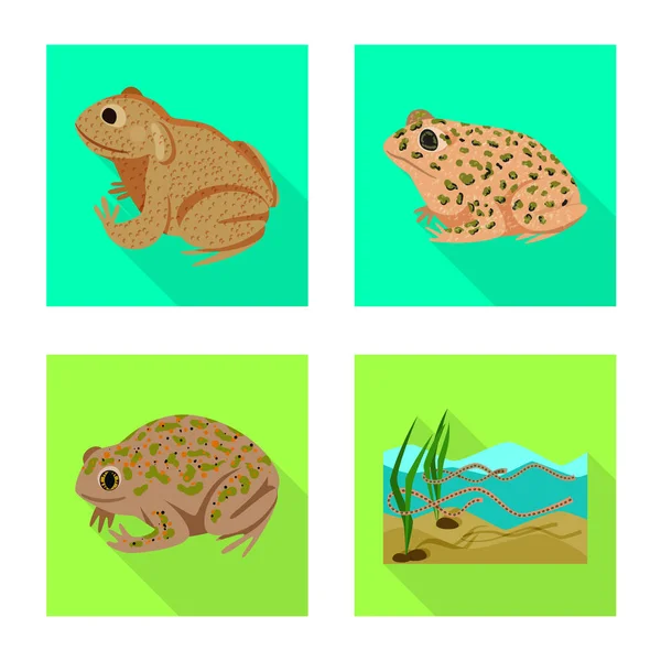 Isolated object of wildlife and bog symbol. Collection of wildlife and reptile vector icon for stock. — Stock Vector