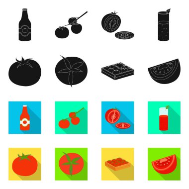 Sebze ve lezzetli sembolün vektör çizimi. Ağ için sebze ve doğal hisse senedi koleksiyonu.