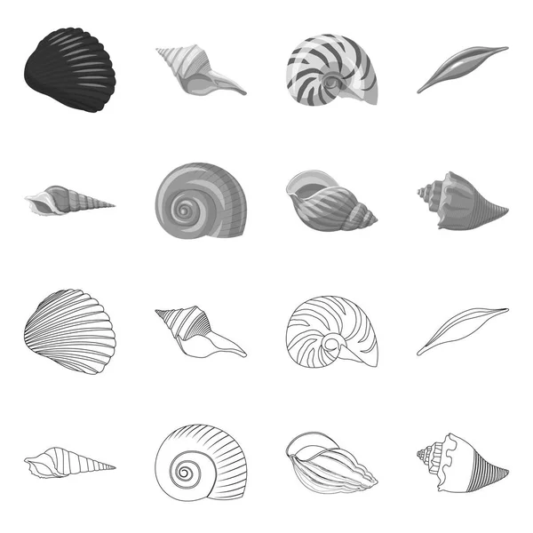 Vector ontwerp van dier en decoratie logo. Set van dier en Oceaan aandelensymbool voor web. — Stockvector