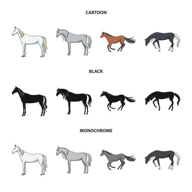 Cins ve binicilik logosu izole nesne. Stok için cins ve mare vektör simgesi kümesi.