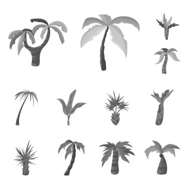 Orman ın izole nesnesi ve botanik sembolü. Web için orman ve flora stok sembolü seti.