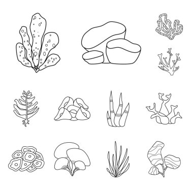 Deniz ve okyanus simgesinin izole nesnesi. Stok için deniz ve flora vektör simgesi seti.