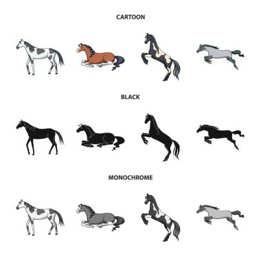 Cins ve binicilik sembolü izole nesne. Cins ve mare stok vektör illüstrasyon seti.