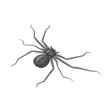 Örümcek ve dul logosuizole nesne. Örümcek ve komik stok vektör illüstrasyon seti.