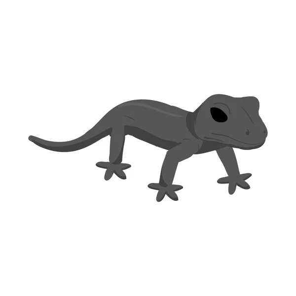 Diseño vectorial de lagarto e icono verde. Colección de lagarto e ilustración de vector de stock para colorear . — Vector de stock