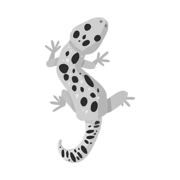 Векторна ілюстрація ікони ящірки і гекону. Набір ящірок та істот Векторні ілюстрації . — стоковий вектор