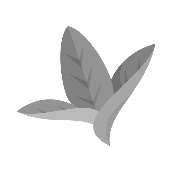 Illustration vectorielle du logo des feuilles et feuilles. Ensemble de feuilles et de symboles botaniques pour la toile . — Image vectorielle