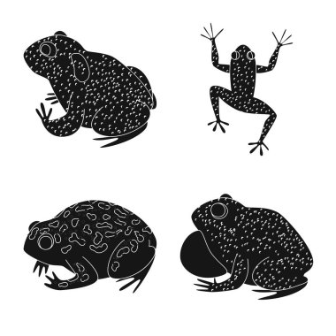 Fauna ve sürüngen sembolü vektör illüstrasyon. Fauna ve anuran stok vektör illüstrasyon koleksiyonu.