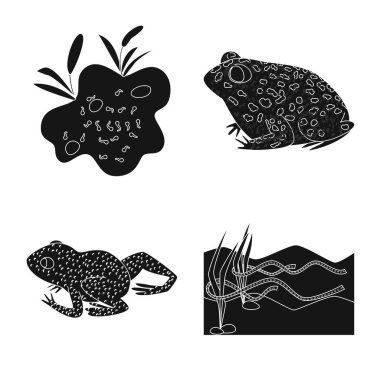 Fauna ve sürüngen logo yalıtılmış nesne. Fauna ve anuran hisse senedi vektör çizim topluluğu.