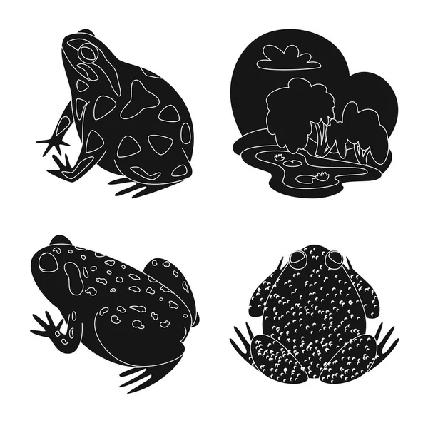 Diseño vectorial de fauna e ícono de reptil. Conjunto de fauna y anuran vector icono para stock . — Archivo Imágenes Vectoriales