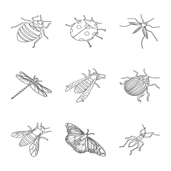 Vektorillustration der Fauna und Entomologie. Set von Tier- und Pflanzensymbolen für das Netz. — Stockvektor