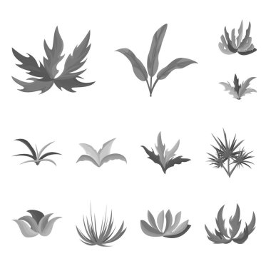 Yeşillik ve çiçek logosu vektör tasarımı. Yeşillik ve yaz stok vektör illüstrasyon koleksiyonu.