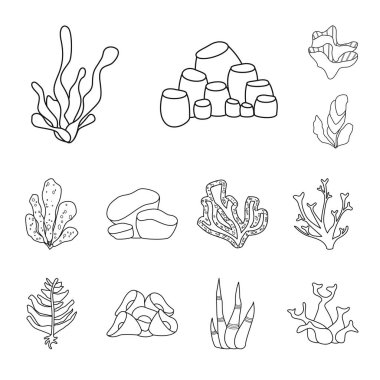 Deniz ve okyanus işareti vektör tasarımı. Deniz ve flora stok vektör illüstrasyon koleksiyonu.