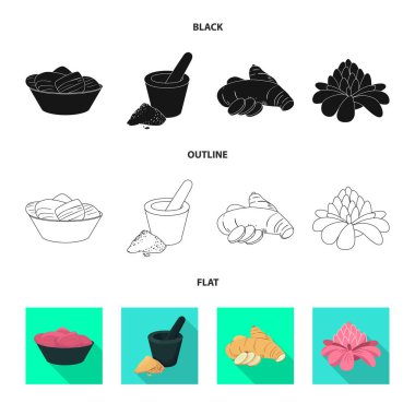 Taze ve ürün simgesinin yalıtılmış nesnesi. Taze ve asya stok vektör illüstrasyon koleksiyonu.