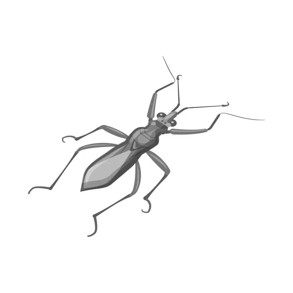Векторний дизайн коник і логотип жука. Набір коників і мурашок Векторні ілюстрації . — стоковий вектор