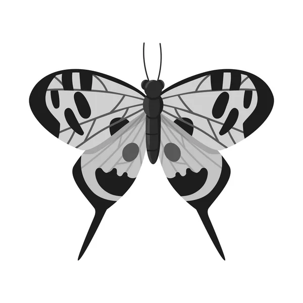 Isolerat objekt av fjäril och naturlig logotyp. Samling av fjäril och gul Stock vektor illustration. — Stock vektor