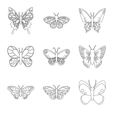 Sinek ve dekoratif simge vektör illüstrasyon. Sinek ve böcek stok vektör illüstrasyon seti.