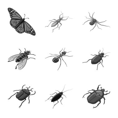 Küçük ve hayvan simgesinin yalıtılmış nesnesi. Küçük ve yaban hayatı stok vektör illüstrasyon seti.