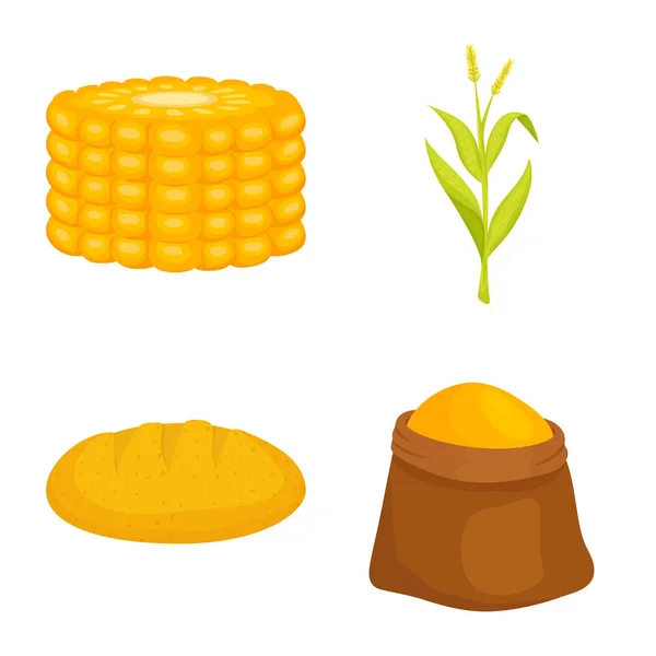 Wyizolowany przedmiot kukurydzy i logo żywności. Zestaw kukurydzy i ikona wektora upraw dla zapasów. — Wektor stockowy