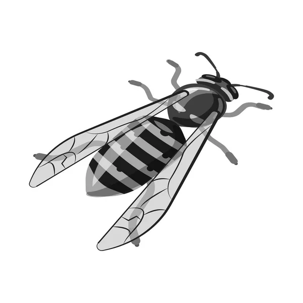 Geïsoleerd object van Bee en honing teken. Set van Bee en natuur voorraad vector illustratie. — Stockvector