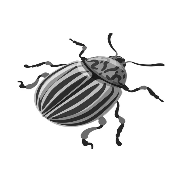 딱정벌레와 콜로라도 기호의 벡터 그림입니다. 딱정벌레와 줄무늬 스톡 벡터 일러스트. — 스톡 벡터