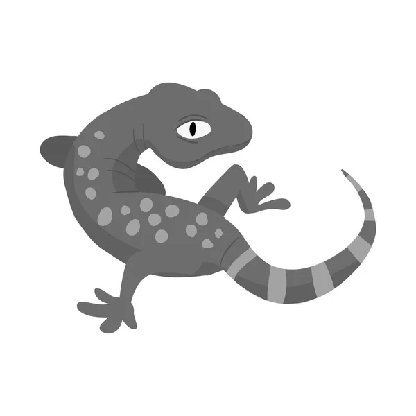 Vektordesign von Gecko- und Eidechsenzeichen. Sammlung von Geckos und niedlichen Aktienvektorillustrationen. — Stockvektor