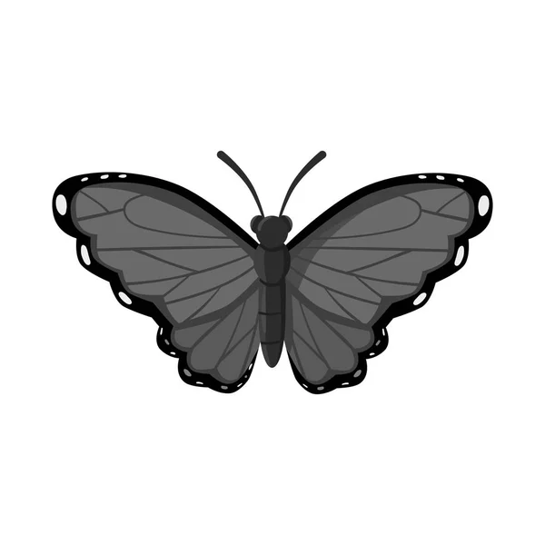 Oggetto isolato di farfalla e logo della creatura. Raccolta di farfalle e fauna selvatica icona vettoriale per stock . — Vettoriale Stock