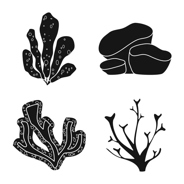 Vektor illustration av dekoration och Wildlife Icon. Uppsättning av dekoration och akvarium Stock symbol för webben. — Stock vektor