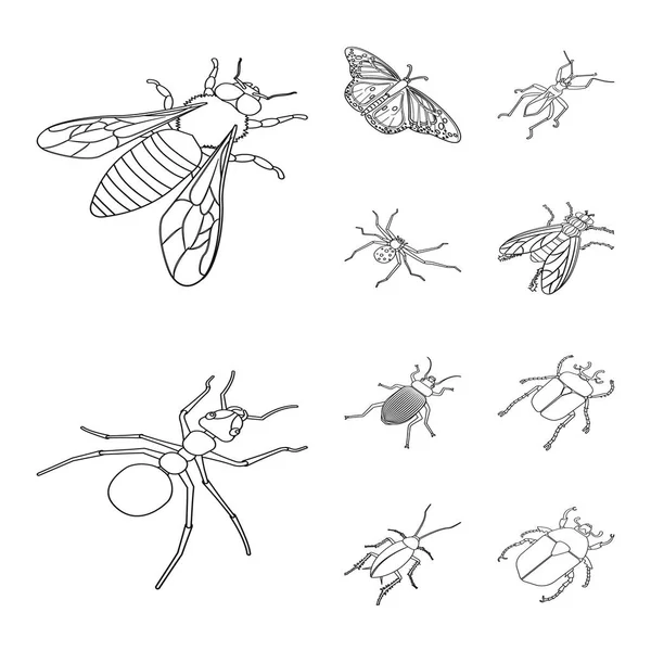 Fauna ve entomoloji logosu vektör tasarımı. Fauna ve hayvan stok vektör illüstrasyon koleksiyonu.
