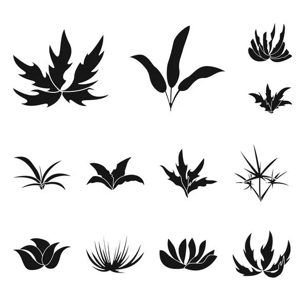 Isolated object of nature and environment icon. Set of nature and grass vector icon for stock. — Stock Vector