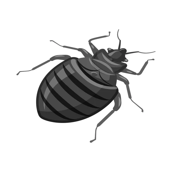 Objet isolé de coléoptère et signe noir. Collection d'icônes vectorielles de scarabée et d'arthropodes en stock . — Image vectorielle