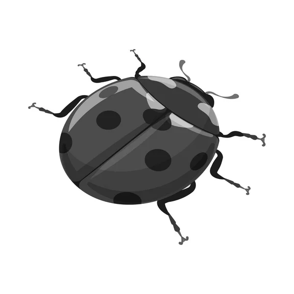 Isolated object of ladybug and ladybird icon. Set of ladybug and red stock symbol for web. — Stock Vector