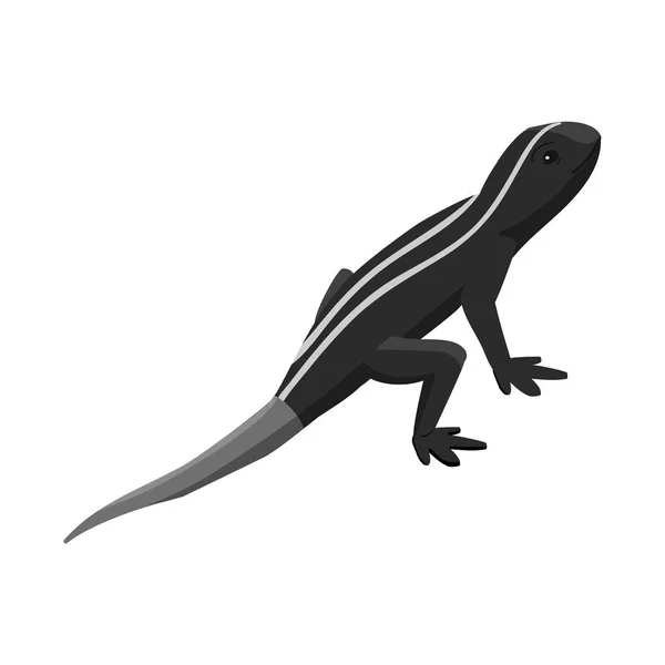 Illustration vectorielle du logo lézard et queue. Collection de lézard et iguane stock symbole pour la toile . — Image vectorielle