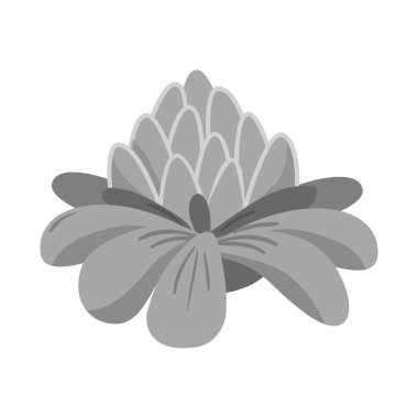 Çiçek ve zencefil simgesivektör tasarımı. Çiçek ve pembe stok vektör illüstrasyon koleksiyonu.