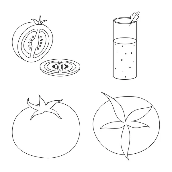 Objet isolé de tomate et signe de régime. Ensemble d'illustration vectorielle de stock de tomates et d'agriculture . — Image vectorielle