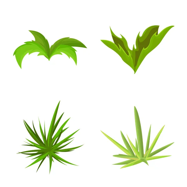 Projeto vetorial do logotipo do jardim e da grama. Conjunto de jardim e arbusto vetor ícone para estoque . — Vetor de Stock