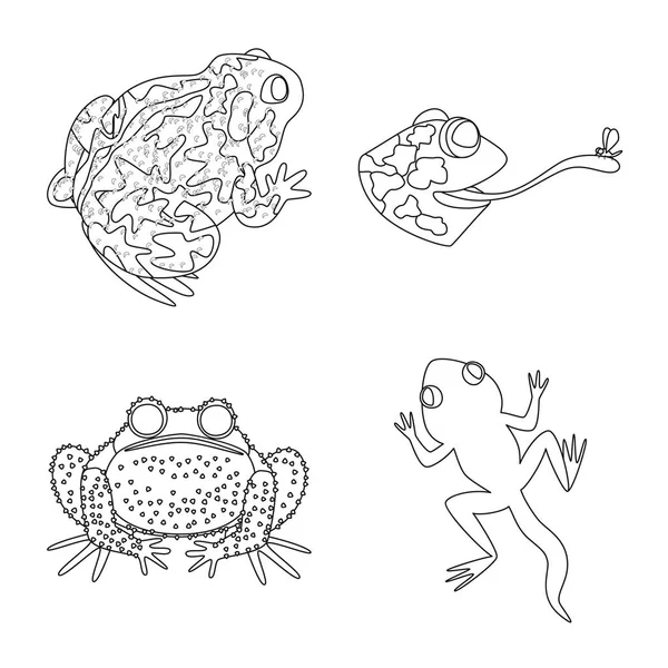 Vektorkonstruktion af padde- og dyretegn. Indsamling af amfibie- og naturvektorikon for lager . – Stock-vektor