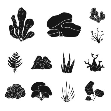 Dekorasyon ve yaban hayatı logosu vektör tasarımı. Web için dekorasyon ve akvaryum stok sembolü Koleksiyonu.