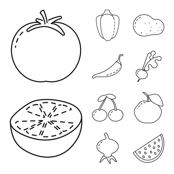 Objeto isolado de ícone saudável e maduro. Conjunto de ilustração vectorial saudável e de colheita . — Vetor de Stock