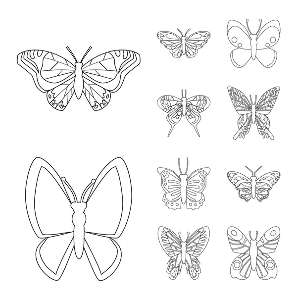 Objet isolé de mouche et icône décorative. Collecte d'illustration vectorielle de la mouche et des insectes . — Image vectorielle