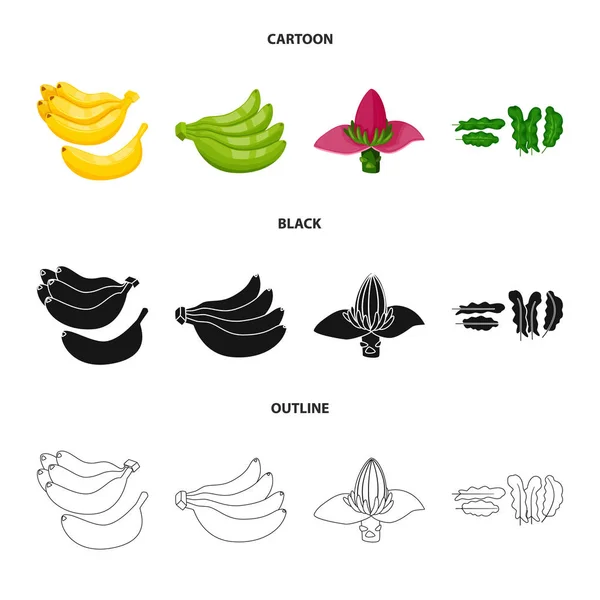 Doğal ve vejetaryen sembolü yalıtılmış nesne. Doğal ve yeme hisse senedi vektör çizim seti. — Stok Vektör