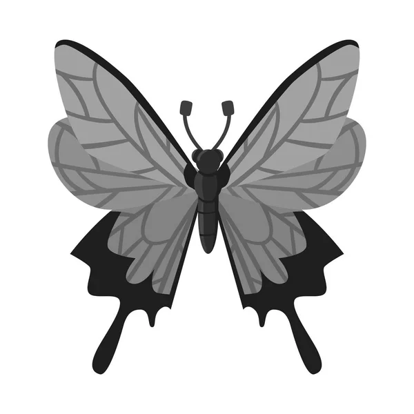 Izolovaný objekt ikony motýla a křídel Výběr symbolu motýla a křídového křídla pro web. — Stockový vektor