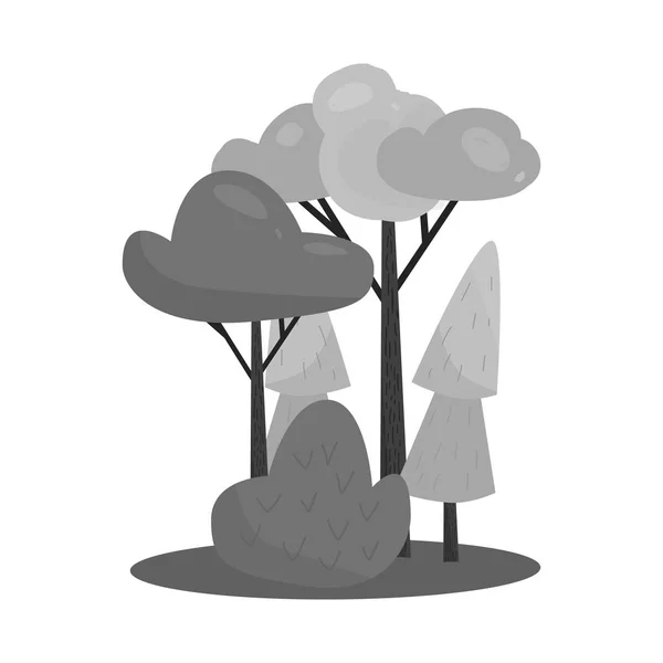 Vektor illustration av skogs-och grön logo. Uppsättning av skog och tall vektor ikon för lager. — Stock vektor