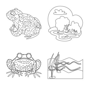 Amfibi ve hayvan logosuvektör illüstrasyon. Amfibi ve doğa stok vektör illüstrasyon koleksiyonu.