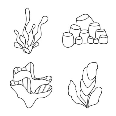 Deniz ve okyanus logosu vektör illüstrasyon. Web için deniz ve flora stok sembolü seti.