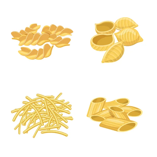 Vektorillustration von Nudeln und Kohlenhydraten. Pasta und Makkaroni-Vektorsymbol für Vorrat. — Stockvektor