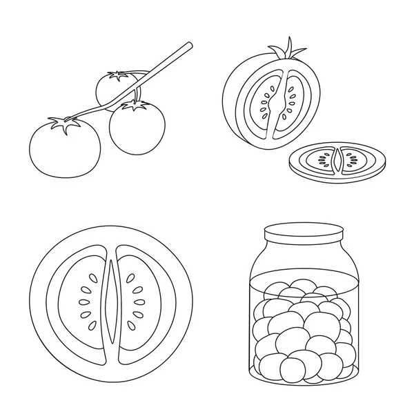 Ilustração vetorial de tomate e logotipo da dieta. Coleta de tomate e símbolo de estoque de agricultura de web . — Vetor de Stock