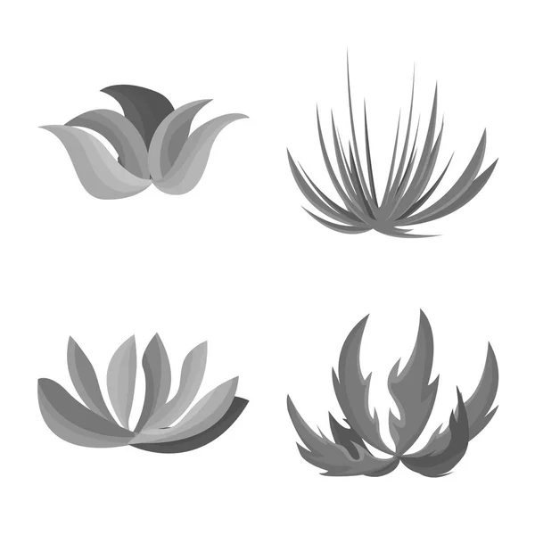 Ilustracja wektorowa liści i symboli kwiatowych. Zestaw liści i letnich ilustracji wektorowych. — Wektor stockowy
